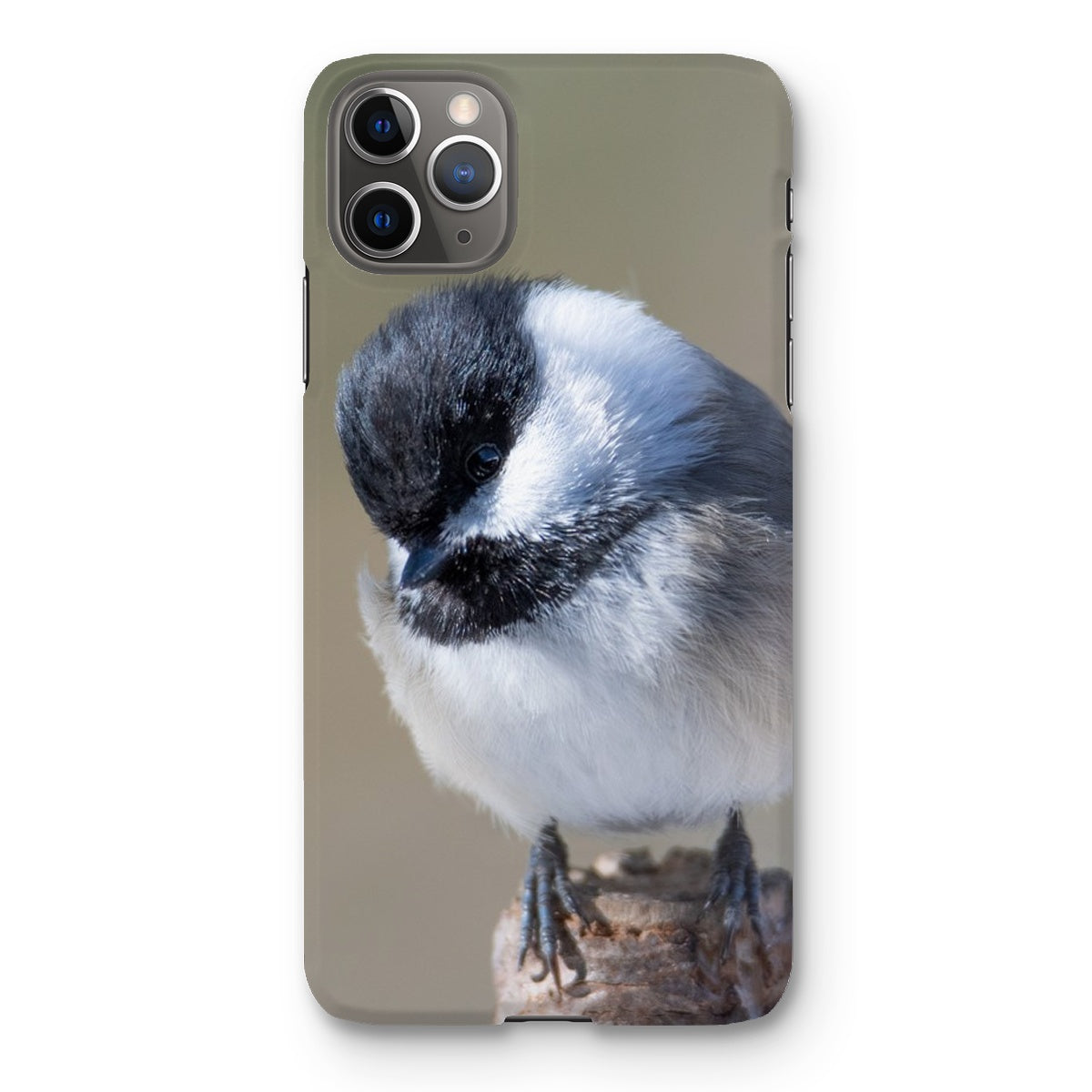Chickadee Looking at You Snap Phone Case