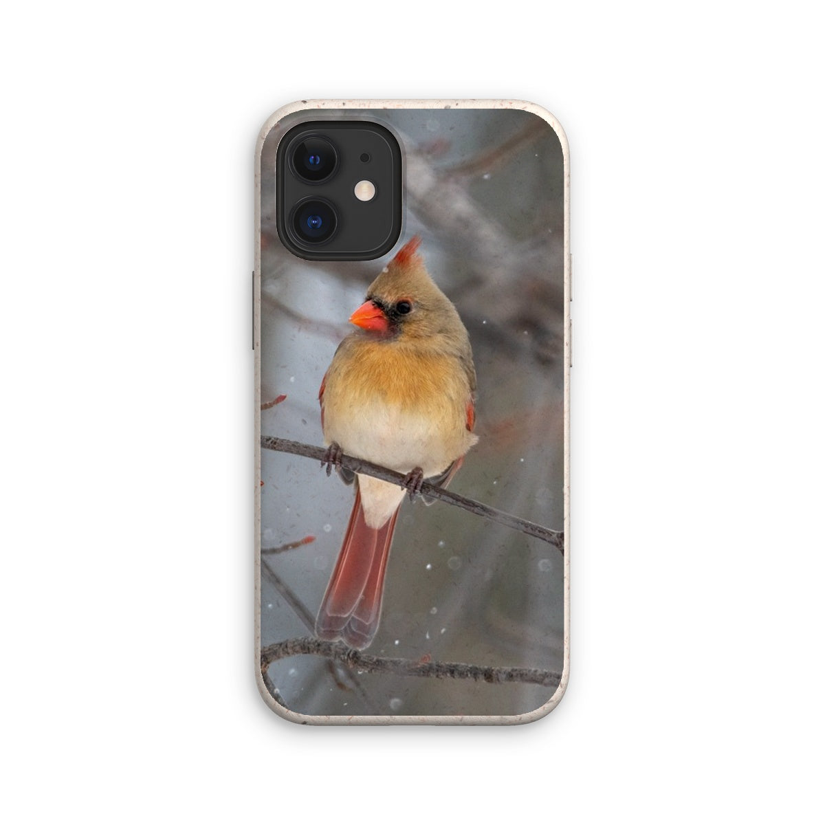 Famale Cardinal Eco Phone Case
