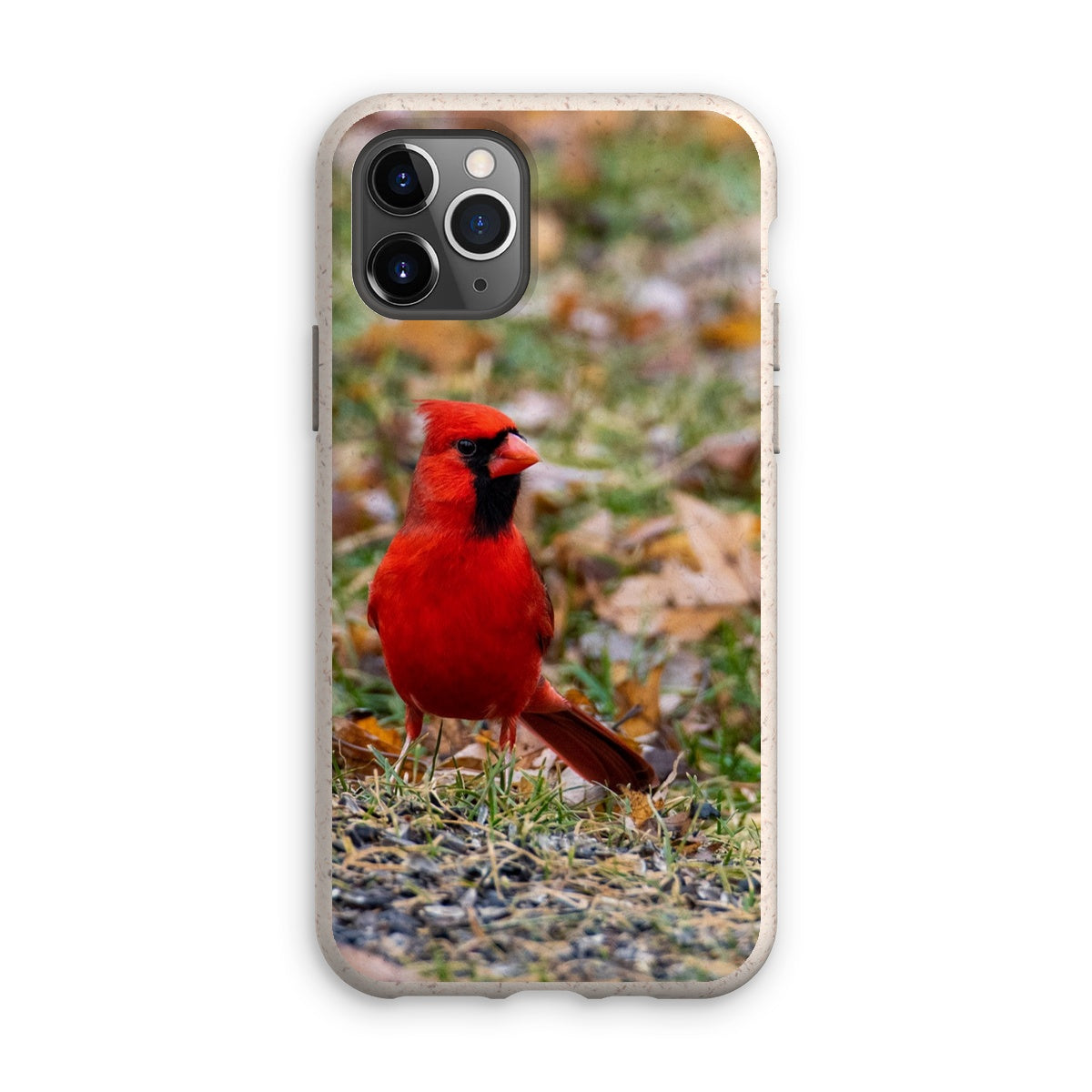 Cardinal Eco Phone Case