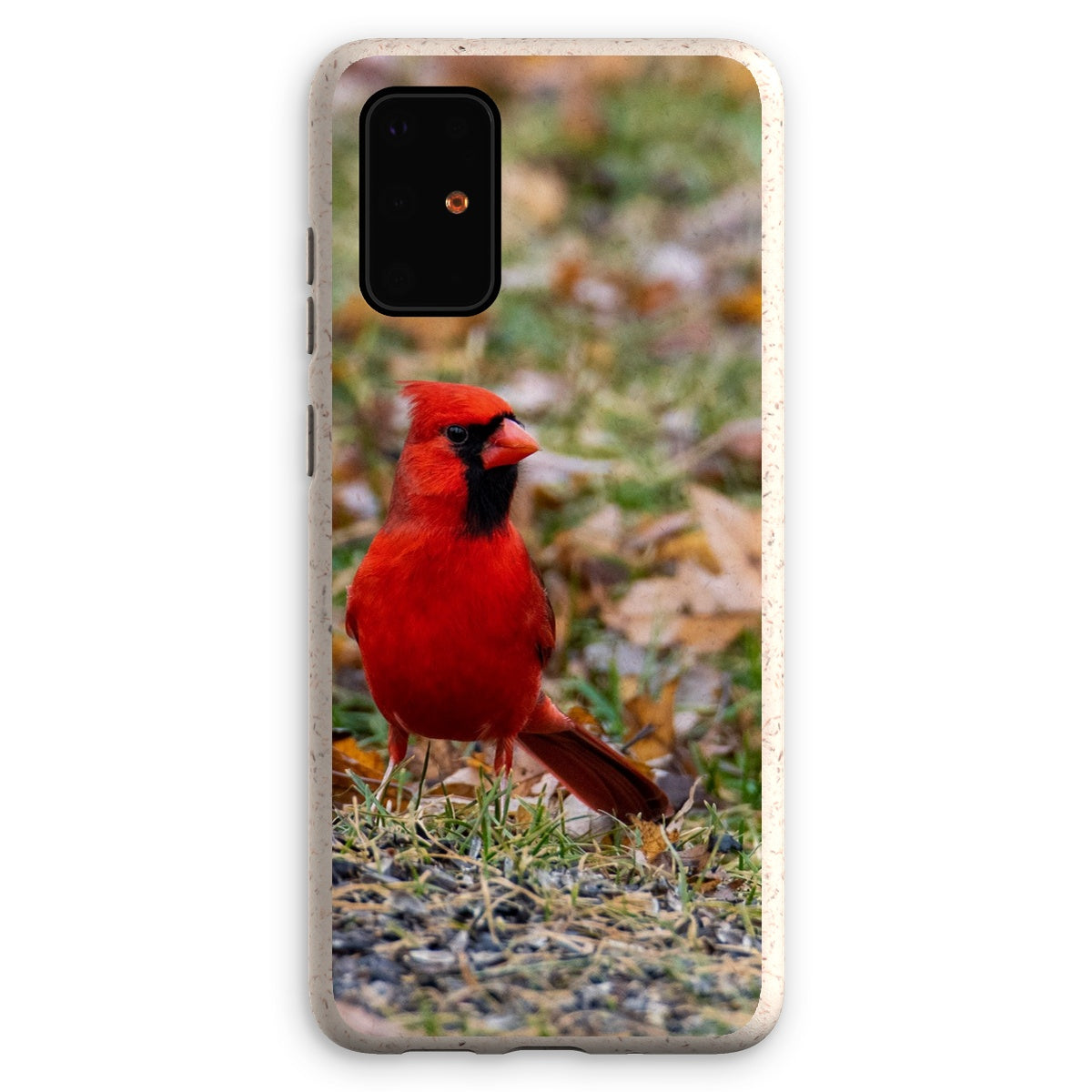 Cardinal Eco Phone Case